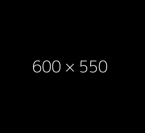 project-details